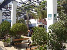 INSTITUTO DE LOS ANDES